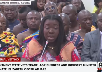 “24-Hour Economy will solve IDIF challenges” – Trade Minister-Designate Elizabeth Ofosu-Adjare discusses solutions for agribusiness sector