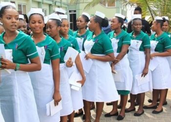 Forcing employment will deepen economic woes – Austin Gamey reacts to nurses’ and midwives’ call