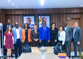 Turkish Firm Synergy Co. Ltd. to invest in solar and smart meter production in Ghana