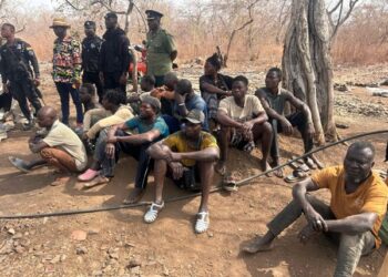 66 illegal miners arrested in joint Military-Police operation at Tilli Forest