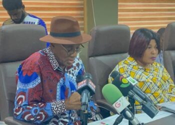 Technical Committee presents three-option plan for private sector participation in ECG, NEDCo