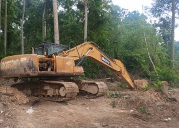 Galamsey: Forestry officials calls for permanent Military base to protect Jimirah Forest