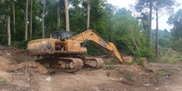 Galamsey: Forestry officials calls for permanent Military base to protect Jimirah Forest