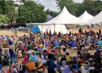 925 out of 2,241 undocumented migrants deported – GIS