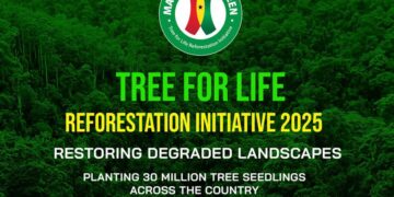 Govt will distribute over 20 million tree seedlings nationwide—Lands Minister
