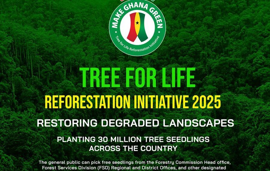 Govt will distribute over 20 million tree seedlings nationwide—Lands Minister