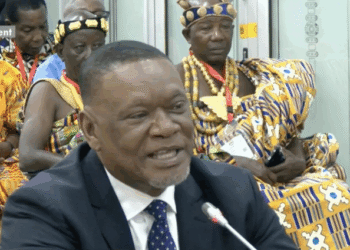 Don’t push unqualified women just to meet gender parity – Justice Dzamefe
