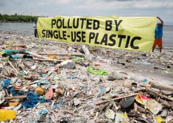 World Environment Day: There must be a ban on single-use plastics – Awula Serwah