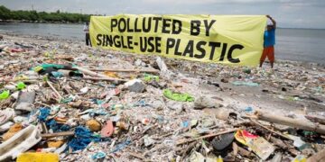 World Environment Day: There must be a ban on single-use plastics – Awula Serwah