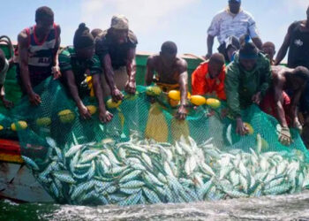 2025 closed fishing season starts July 1 – Govt