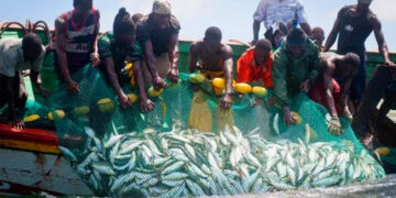 2025 closed fishing season starts July 1 – Govt