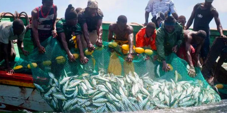 2025 closed fishing season starts July 1 – Govt