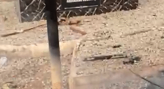 Bawku Conflict: No Work for gov’t institutions in 6 districts today – Kusaug youth demand immediate erection of Zugdaan Statue [details]