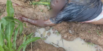 Defence Minister urges calm amid renewed Bawku chieftaincy clashes