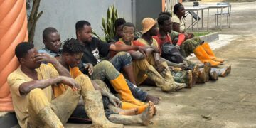 12 galamsey suspects arrested for invading GREL rubber plantations
