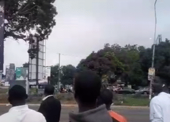 VIDEO: Man seen perched at the top of a tall tree at the 37 AU Roundabout