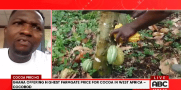 How is Ghana receiving less despite higher farmgate prices? Cocoa farmers question authorities