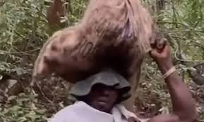 Helicopter crash: Sacks used for the recovery posed challenges to forensic integrity – Col. Festus Aboagye (Rtd.)