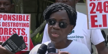 Galamsey: Is the President justifying killing because they have no livelihoods? – Awula Serwah