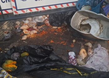 One dead, several injured as Aayalolo bus rams into traders near COCOBOD