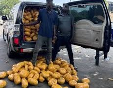 Tema Police Nab Two With Over 1,600 Suspected Drug Parcels
