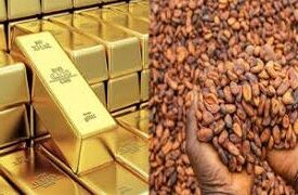 Cocoa Sector In Crisis: “Gov’t has Prioritised Gold over Cocoa” –  NPP’s Edwin Okyere Boateng