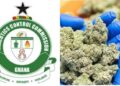 NACOC to Begin Licensing Cultivation of Medicinal, Industrial Cannabis