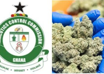 NACOC to Begin Licensing Cultivation of Medicinal, Industrial Cannabis