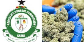 NACOC to Begin Licensing Cultivation of Medicinal, Industrial Cannabis
