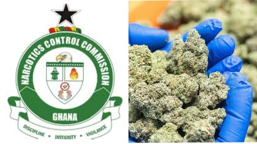 NACOC to Begin Licensing Cultivation of Medicinal, Industrial Cannabis