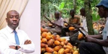 “The NDC Called Us All Sort of Names for Paying Cocoa Farmers GH¢3,100, Today They Can’t Even Pay Cocoa Farmers” – Kojo Oppong Nkrumah