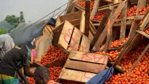 Ghanaian Tomato Traders Attacked in Burkina Faso Terrorist Incident – Interior Minister Confirms