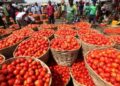 Ghana Fears Tomato Shortage as Burkina Faso Bans Exports