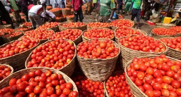 Ghana Fears Tomato Shortage as Burkina Faso Bans Exports