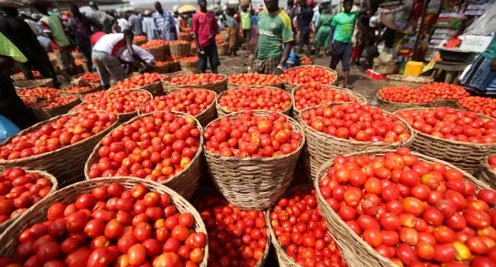 Burkina Faso Tomato Ban a “Blessing in Disguise” – Peasant Farmers Association of Ghana Calls for Urgent Action