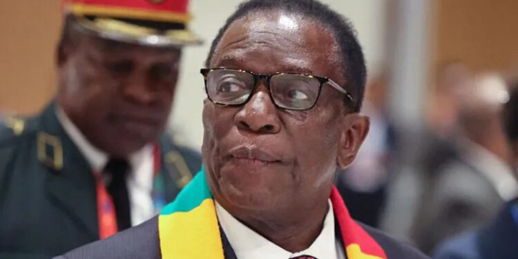 Plan to scrap presidential elections puts Zimbabweans at loggerheads