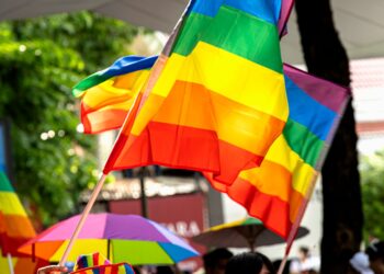 “Gov’t Knows the Implication of Passing the Anti–LGBTQ+ Bill, That’s Why They Are Playing Safe” – Political Analyst