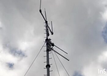 Residents of Ankaako Climb Coconut Trees for Network Signal, Demand Urgent Government Intervention