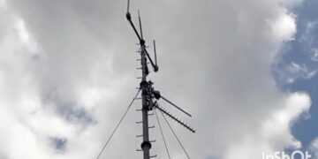 Residents of Ankaako Climb Coconut Trees for Network Signal, Demand Urgent Government Intervention