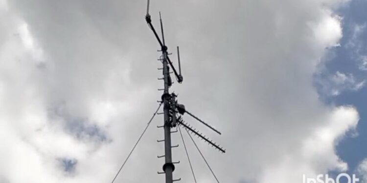 Residents of Ankaako Climb Coconut Trees for Network Signal, Demand Urgent Government Intervention