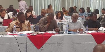 Constitutional Committee Begins Final Deliberations on Family Values Bill