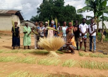 Women Weavers Endure Long Journeys to Sustain Bolga Basket Industry