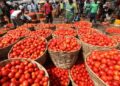 Ghana Welcomes Burkina Faso’s U-Turn on Tomato Ban