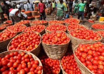 Ghana Welcomes Burkina Faso’s U-Turn on Tomato Ban