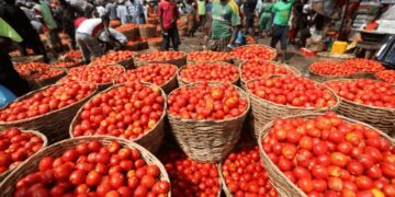 Ghana Welcomes Burkina Faso’s U-Turn on Tomato Ban