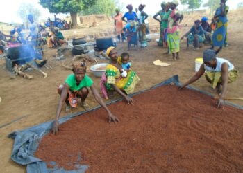 From Survival to Strength: Women of Naapal and Gengenkpe Transform Lives Through Shea Processing Initiative