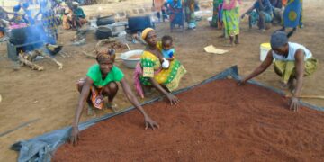From Survival to Strength: Women of Naapal and Gengenkpe Transform Lives Through Shea Processing Initiative