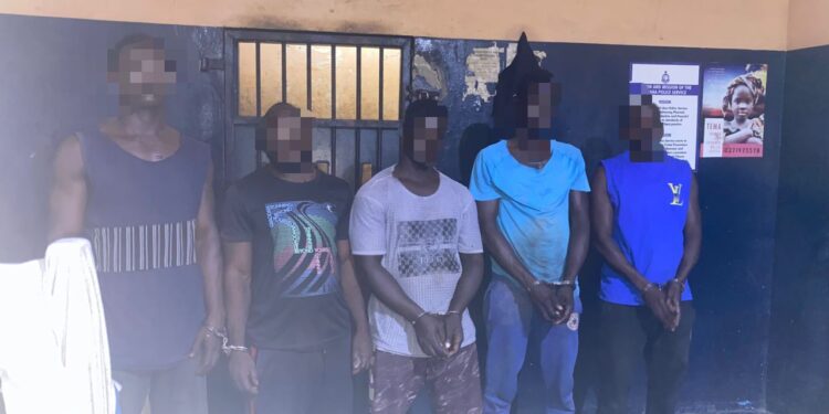 Tema Police Arrest Six Suspects in Connection with Warehouse Robberies