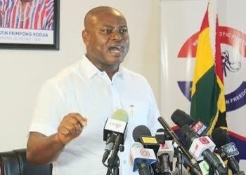 NPP Urges Members to Stay Focused on Holding Government Accountable Amid Arrests