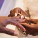 Most Young Ghanaians Aspire to Marry and Have Children, But Financial Struggles Remain a Barrier – UNFPA